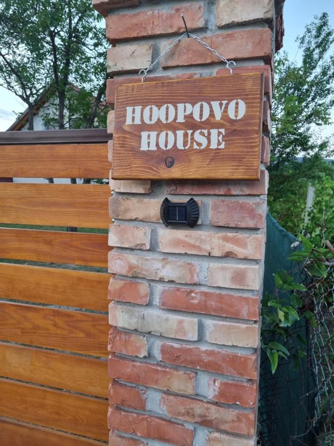 Hoopovo House Fruska Gora Villa Irig Exteriör bild